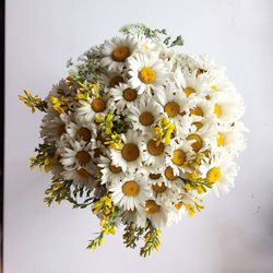 Close-up of white flowers