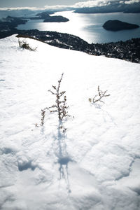 High angle view of snow covered land on field