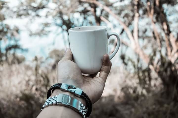 CLOSE-UP OF HAND HOLDING CUP OF COFFEE WITH GLASS OF TREES