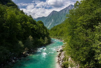 Scenic view of river surrounded by trees against sky