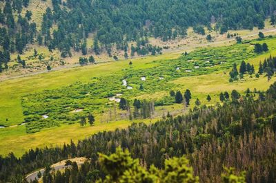 Scenic view of agricultural field