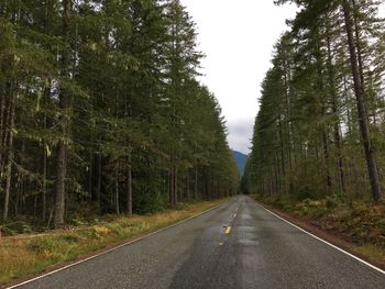 Empty road amidst trees in forest against sky