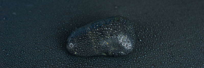 Panoramic view of water drops on pebble