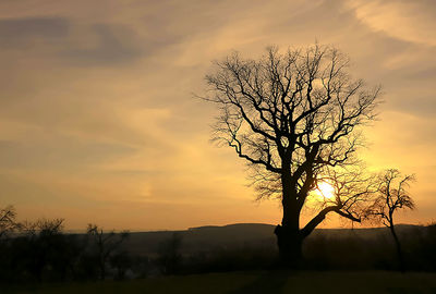 Silhouette bare tree on field against sky during sunset