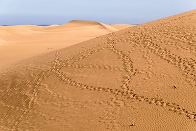 Sand dunes in desert against clear sky