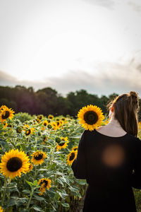 Rear view of woman standing on sunflower