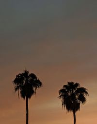 Low angle view of silhouette palm trees against romantic sky