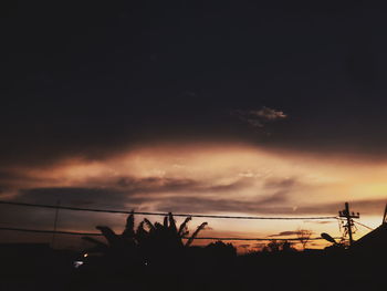 Low angle view of silhouette trees against sky at sunset