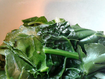 Close-up of vegetable over white background