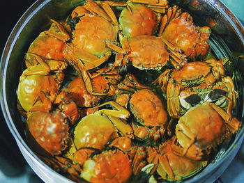 High angle view of crabs in bowl