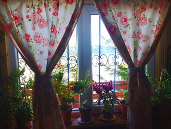 Flower trees against sky seen through window