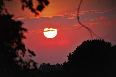 Silhouette trees against romantic sky at sunset