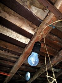 Low angle view of light bulbs hanging