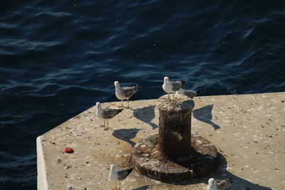 water