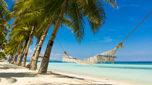 Palm trees on beach against blue sky