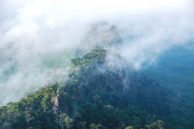 Scenic view of trees on mountain