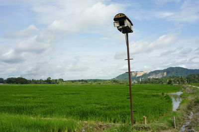 Scenic view of agricultural field against sky