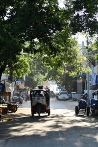 Cars on road against trees in city