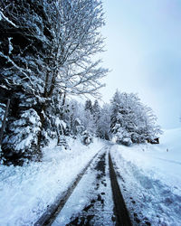 Snow covered road amidst trees against sky