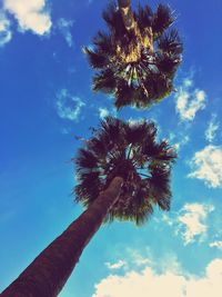 Directly below view of coconut palm trees against sky