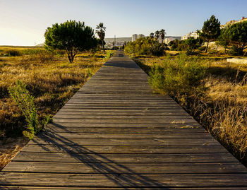 Boardwalk amidst plants on land against sky