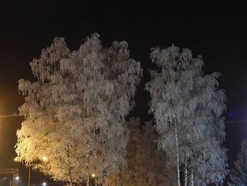 Rocks at night