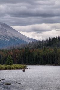 Maligne lake, jasper national park, ab, canada