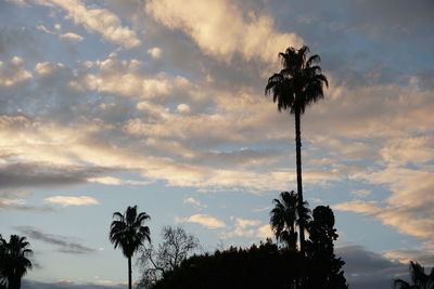 Low angle view of silhouette palm trees against sky during sunset