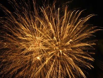 Low angle view of firework exploding in sky