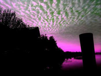 Silhouette trees against illuminated sky at night