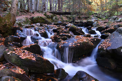 Autumn, leaves and waterfalls