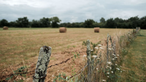 Hay bales on field against sky