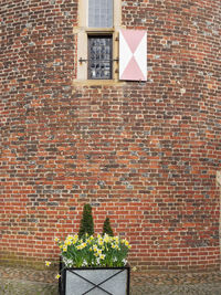 Potted plant against brick wall