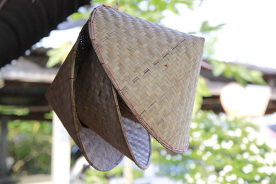 Close-up of leaf hanging on tree