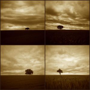 Scenic view of field against cloudy sky