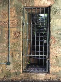 Window of abandoned building