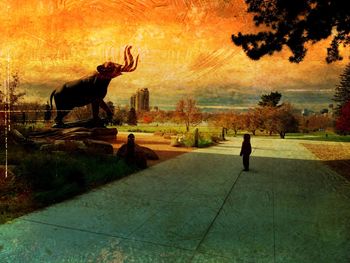 Silhouette of trees at sunset