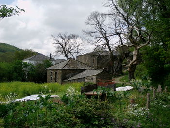 Houses and trees on field against sky