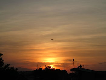 Low angle view of silhouette birds flying against orange sky