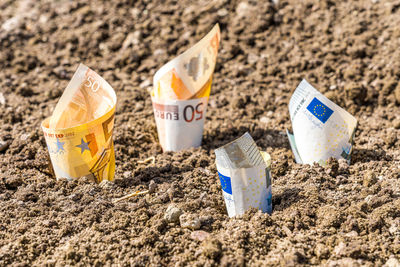 Close-up of cookies on sand