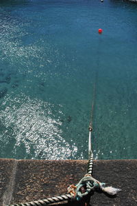 High angle view of fishing line from harbour 