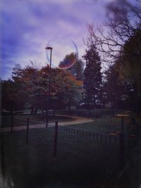 Bare trees against sky at night