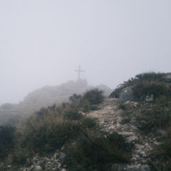 Trees and tower against sky