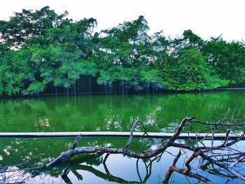 Scenic view of lake in forest against sky