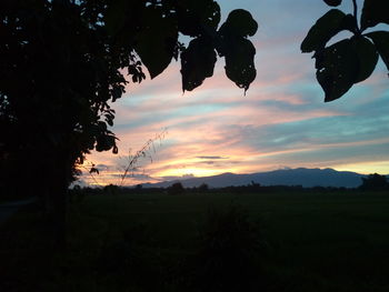 Silhouette trees on field against sky during sunset