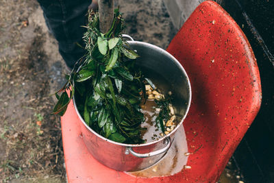 High angle view of salad in bowl