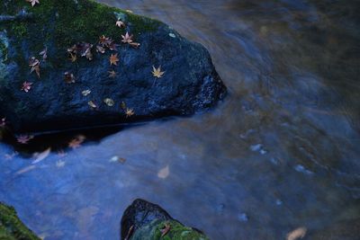 High angle view of rocks in water