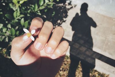 Close-up of cropped hand