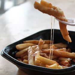 Close-up of food in bowl