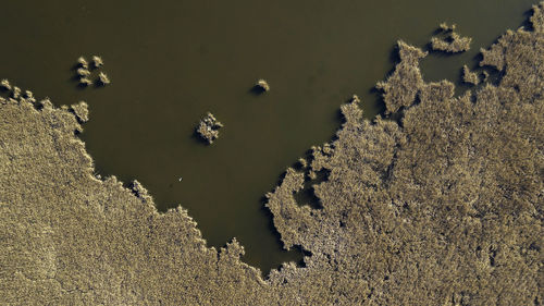 High angle view of beach